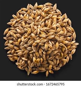 Pile Of Unhulled Malted Barley (Hordeum Vulgare Seeds), Isolated On Black, Top View