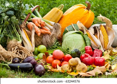 Pile of various raw fresh vegetables outdoor in grass