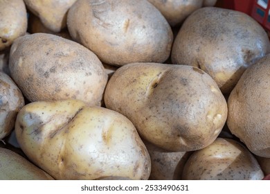 A pile of washed potatoes, background and texture - Powered by Shutterstock