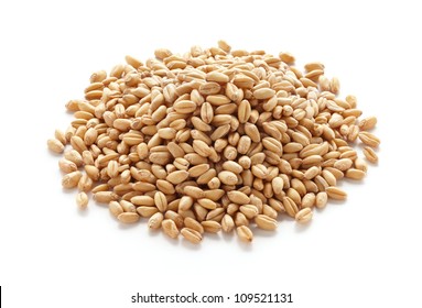 pile of wheat kernels isolated on white