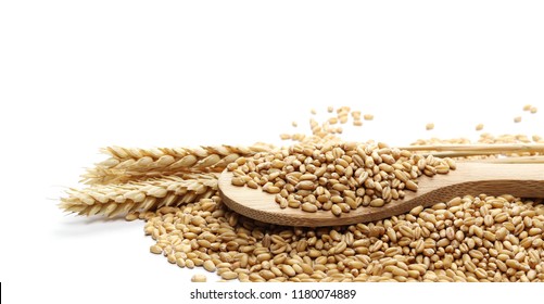 pile wheat kernels with wooden spoon isolated on white background