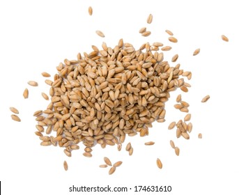 Pile Of Wheat Seeds Isolated On White