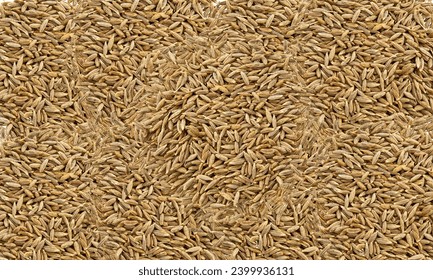 Pile of white background , Caraway Seed Pile Top View known as Meridian Fennel and Persian Cumin (Carum Carvi). Isolated on White. - Powered by Shutterstock