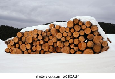 Pile Of Winter Wood In Snow Cover