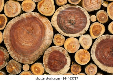 Pile Of Wood Logs