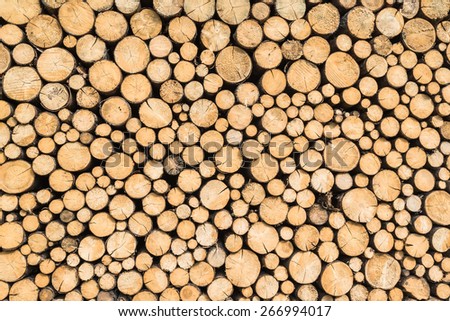 Pile of wood logs as background