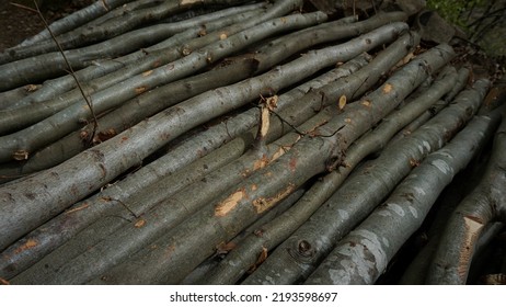 Pile Of Wood Logs , Close Up View.