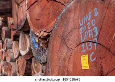 Pile of wood logs legally extracted from a region of the Brazilian Amazon forest, with identification of the tree number and place of origin, according to the forest inventory.
