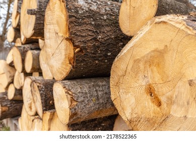 Pile Of Wood Logs Storage For Industry.Stacked Loggs Of Fire Wood Texture Background.Selective Focus.