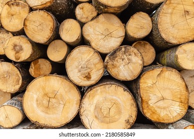 Pile Of Wood Logs Storage For Industry.Stacked Loggs Of Fire Wood Texture Background.Selective Focus.