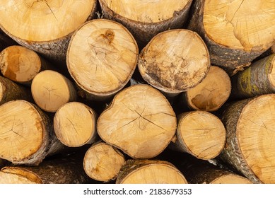 Pile Of Wood Logs Storage For Industry.Stacked Loggs Of Fire Wood Texture Background.Selective Focus.