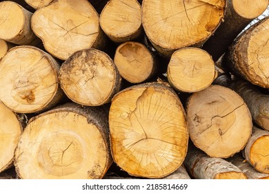 Pile Of Wood Logs Storage For Industry.Stacked Loggs Of Fire Wood Texture Background.Selective Focus.