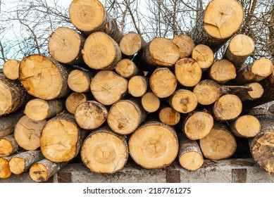 Pile Of Wood Logs Storage For Industry.Stacked Loggs Of Fire Wood Texture Background.Selective Focus.