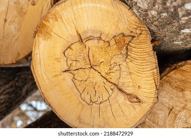 Pile Of Wood Logs Storage For Industry.Stacked Loggs Of Fire Wood Texture Background.Selective Focus.Closeup.