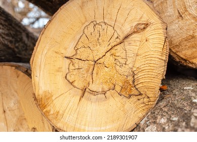 Pile Of Wood Logs Storage For Industry.Stacked Loggs Of Fire Wood Texture Background.Selective Focus.Closeup.