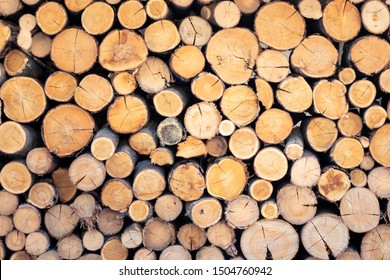 Pile Of Wood Logs Stored For Winter. Wall Of Wood Logs