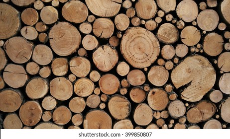 Pile of wood logs stumps for winter