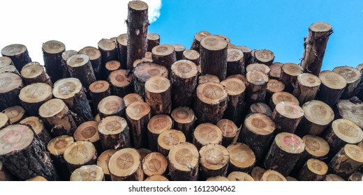 Pile of wood prepared for transport - Shutterstock ID 1612304062
