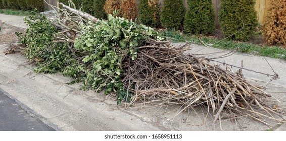 Pile Of Yard Cleanup Clippings. Branches And Limbs.