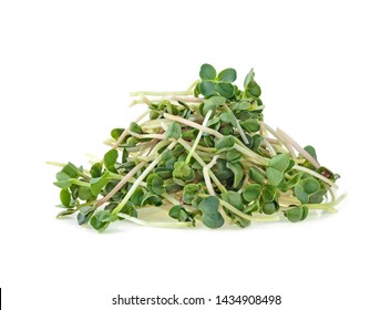 Pile of young sprout of microgreen isolated on a white background. Green radish seeds sprouts.