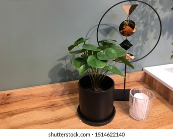 Pilea peperomioides plant in black ceramic pot. Candle in a transparent glass. Round metal sculpture with geometric accents. Contemporary wood table. Gray wall with shadows - Powered by Shutterstock