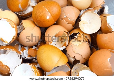 Piled up eggshells are ready to be processed into fertilizer