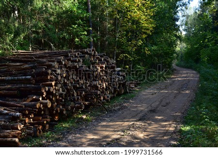 Piled pine tree logs  in forest. Stacks of cut wood. Out of focus, possible granularity, motion blur. Sharpening noise, or film grain that detracts from the main subject.