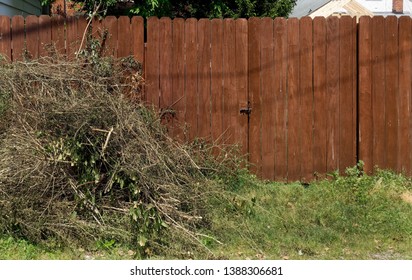 Piled Yard Cleanup Debris Against Left Side Of Brown Wood Fence.