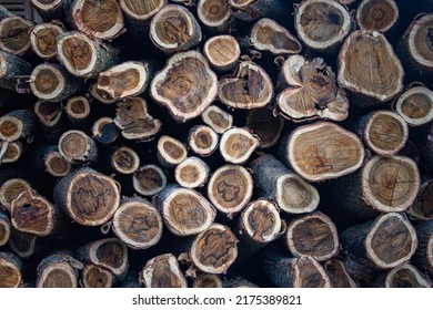 Piles Of Cut Wood Form An Attractive And Aesthetic Background In Sragen, Central Java, Indonesia.