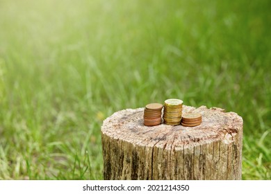 Piles of czech coins, money on a tree stump as a concept of growing investment and savings	