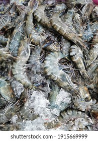 Piles Of Fresh Tiger Prawns On Asian Wet Market.