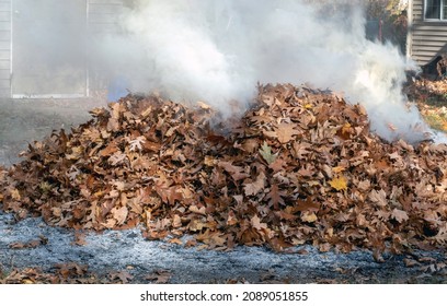 piles of leaves are burning, but still a bit too wet, so create lots of smoke