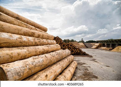 Piles Of Logs In A Timber Yard