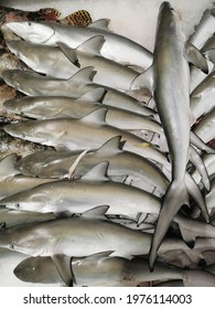 Piles Of Sharks In The Asia Wet Market