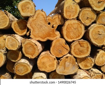 Piles of teak wood neatly arranged - Shutterstock ID 1490026745