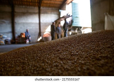 Piles Of Wheat Grains At Mill Storage Or Grain Elevator. The Main Commodity Group In The Food Markets.