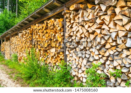 Piles of wooden logs stored for winter