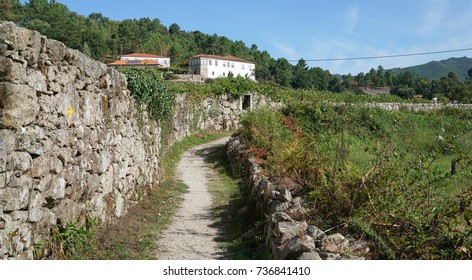 Pilgrim Trail Between Barcelos And Ponte De Lima On The Camino De Santiago, Portugal