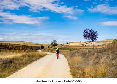 Pilgrim Walking in a Panoramic View of the Meseta toward the Town Hornillos on the Way of St James - Camino de Santiago