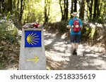 A pilgrim walks towards Santiago de Compostela in a forested area of the Camino de Santiago, guided by milestone sign with a yellow scallop shell and arrow indicating the way