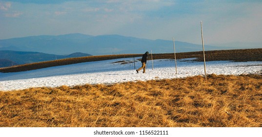 The pilgrim of the world