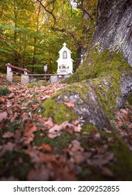 Pilgrimage Site In Mátra In Autumn