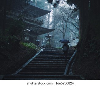 A Pilgrimage Walking Up The Stairs In A Forest Of A Buddhist Temple In Kanagawa, Japan.