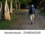 Pilgrims walking on the Camino de Santiago, Mansilla de las Mulas , Autonomous Community of Castile and Leon, Spain