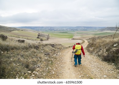 Pilgrims Walking Through Endless Green Fields Under The Sun Of A Way Of St James