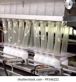 The Pill Counter In A Pharmaceutical Processing Facility.