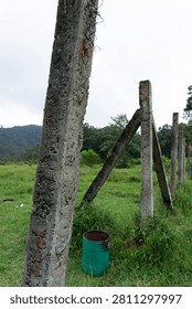 Pillar bricks in a field
