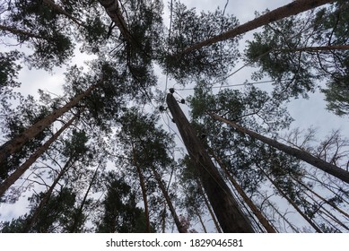 Pillar In Young Pioneer Camp Emerald In Chernobyl, Summer Season, Ukraine