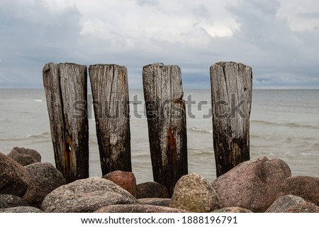 pillars made of aged wood - the remains of an old pedestrian bridge on the shores of the baltic sea