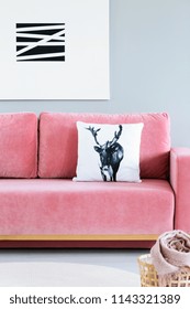 Pillow With Deer Case Placed On Pink Velvet Sofa In The Real Photo Of Bright Living Room Interior With Modern Poster On The Wall